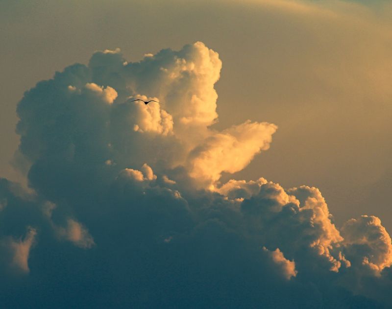Cloud-Strategie entwickeln: Flexibilität und Skalierbarkeit sichern – Kosten und Risiken minimieren