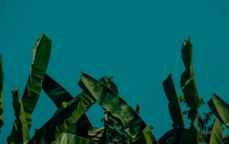 AWS-Services fehlerfrei einführen: Leitfaden für DevOps-Teams