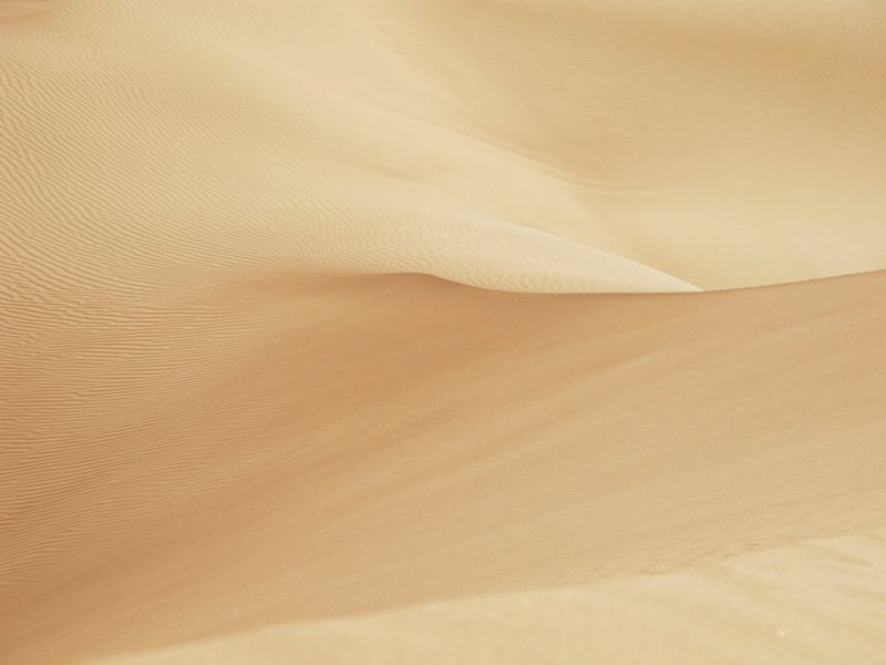 Flexible Weiterbildungsformate für Teams – Online, vor Ort und hybrid nachhaltig erfolgreich umsetzen