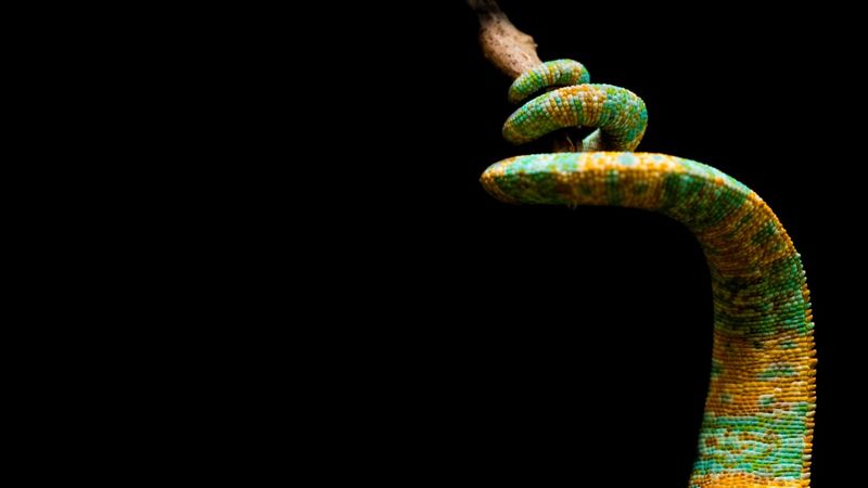 Konfigurationsabweichungen vermeiden: Wiederholbare Cloud-Infrastrukturen mit Python verwalten