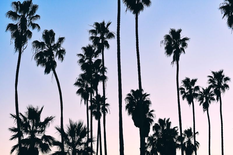 Null Pointer Exceptions & Boilerplate-Code in Android und Backend: Wie Kotlin die Entwicklung revolutioniert