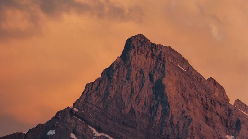 Oracle-Upgrade, Migration & Modul-Einführung: So bereiten Sie Ihr Team optimal vor