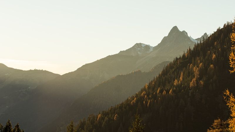 Die besten Python-Technologien und Systemarchitektur für die Digitalisierung wählen