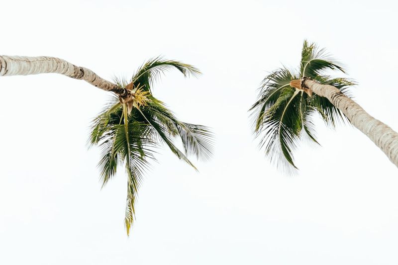 Responsives Breakpoint-Management und Media Queries in großen Codebases: Mobile-First-Erlebnis sicherstellen