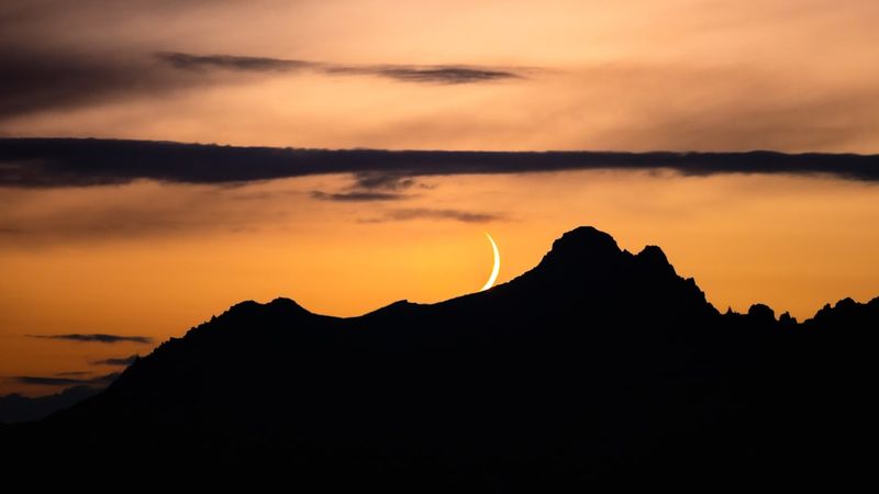 Self-Service-Analytics: Datenanalysen und Berichte in Fachabteilungen eigenständig erstellen