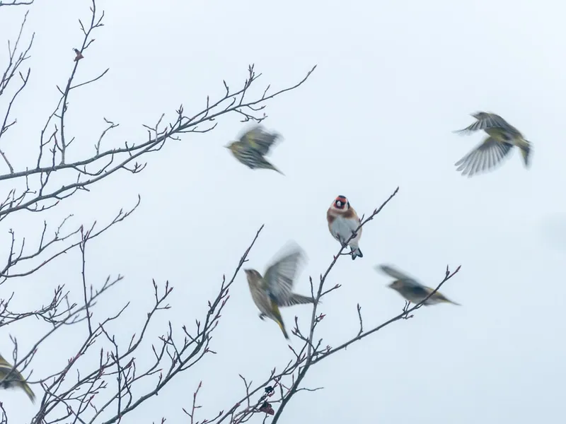 Jenkins: Manuelle Build-, Test- und Deployment-Prozesse effizient automatisieren