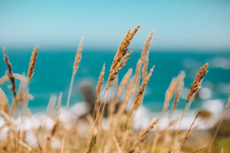 Legacy-JavaScript mit Callbacks in modernes, wartbares TypeScript refaktorisieren