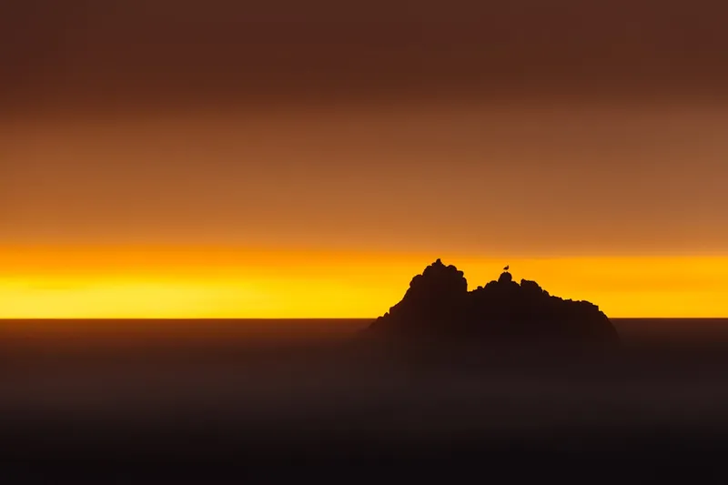 Schneller Online-Shop-Start ohne teure Individualentwicklung